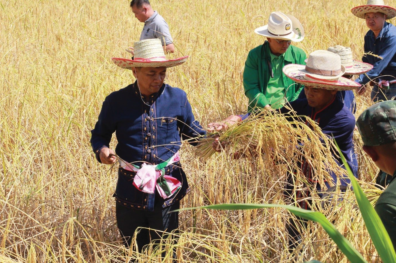 ประกันสังคมมาตรา 40 ประกันชีวิต สำหรับเกษตรกร เริ่มต้นวัน ...