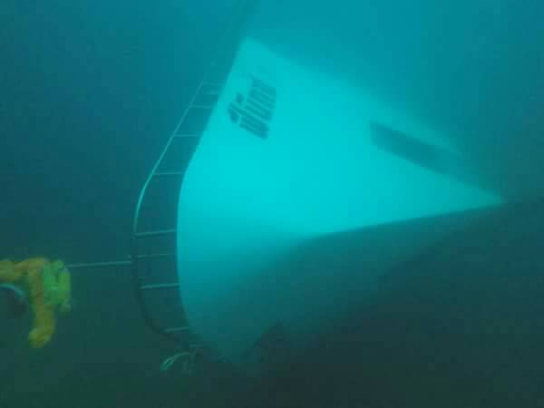 9562