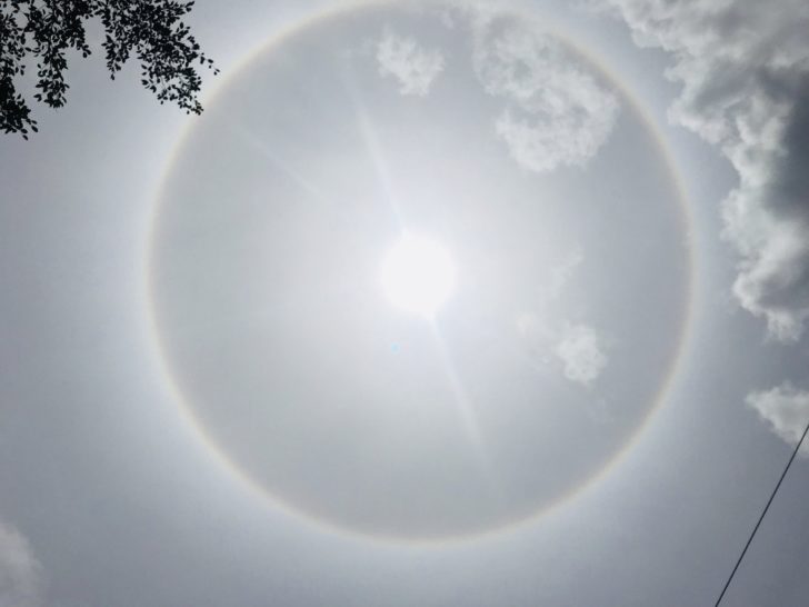 S__52887560