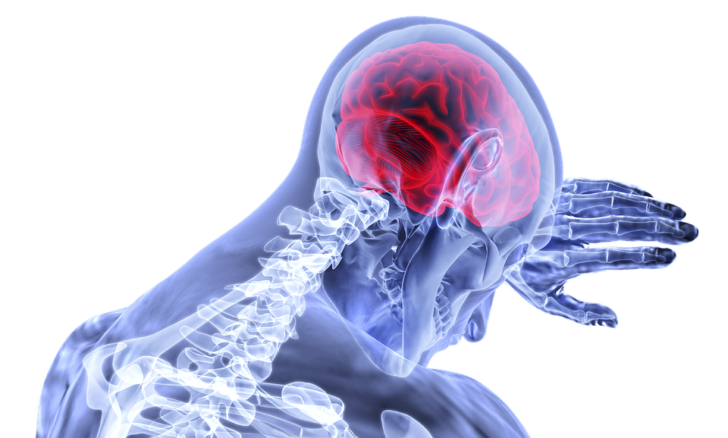 brain-3168269_960_720