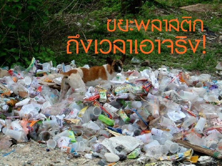 ขยะพลาสติก