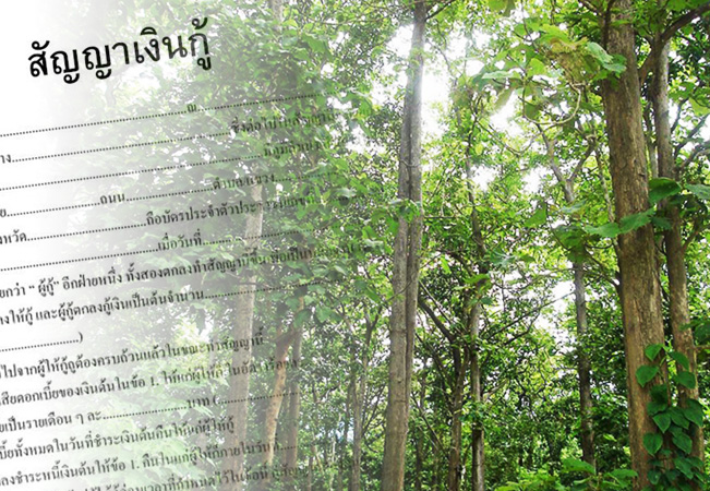 รูปสกู๊ป30กค
