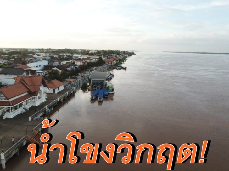 DCIM100MEDIADJI_0236.JPG