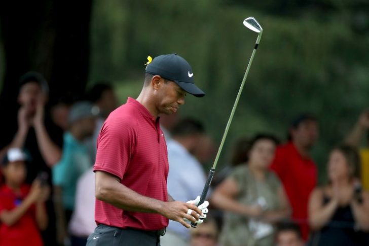 World Golf Championships-Bridgestone Invitational - Final Round