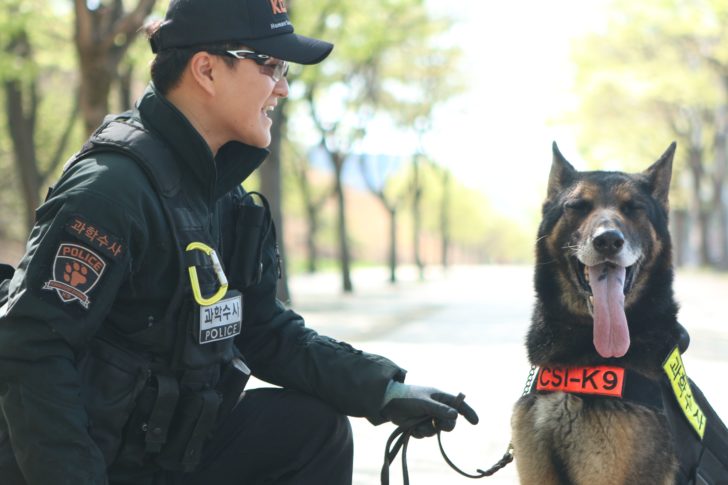 SKOREA-ANIMAL-POLICE-OFFBEAT