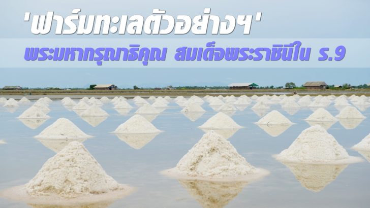 4SW_6042