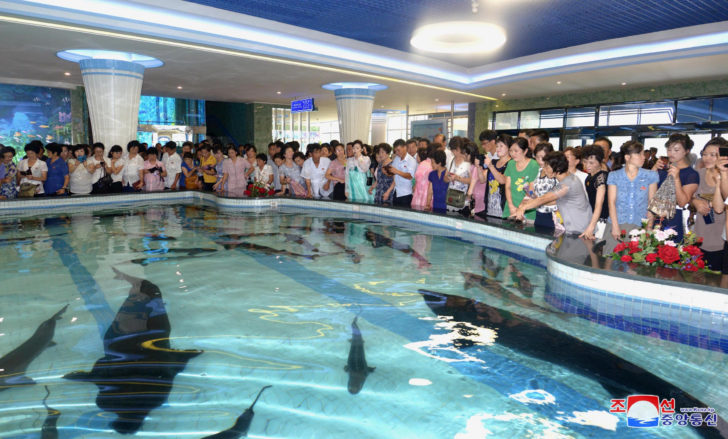 People are seen at the opening of the Daedong River Fish Market Restaurant in Pyongyang