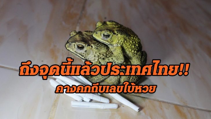 คก_4
