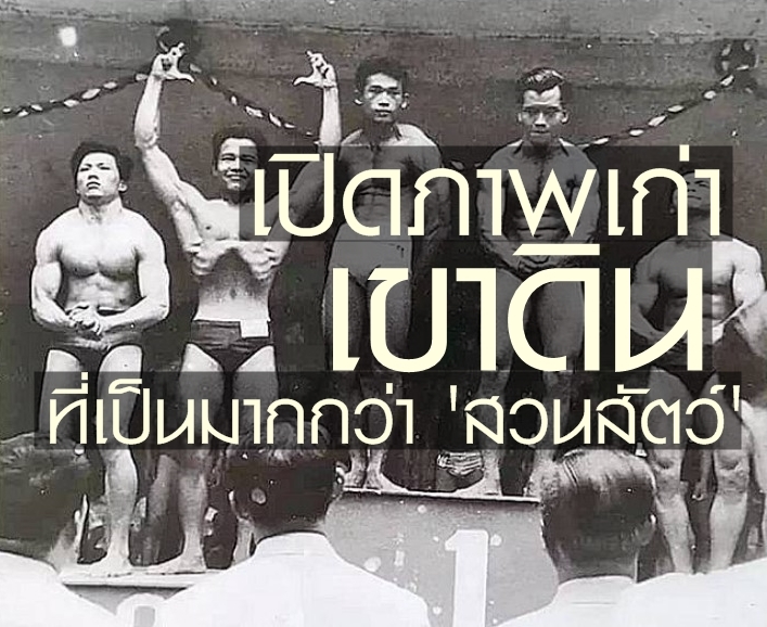 ชายงามเขาดิน