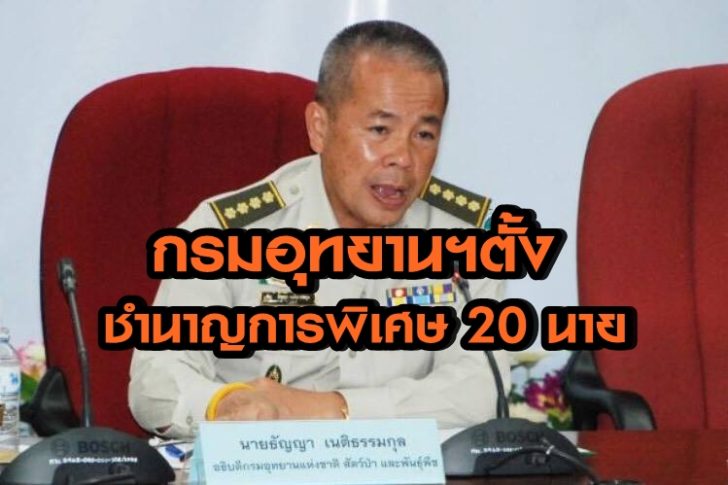ชำนาญการพิเศษ