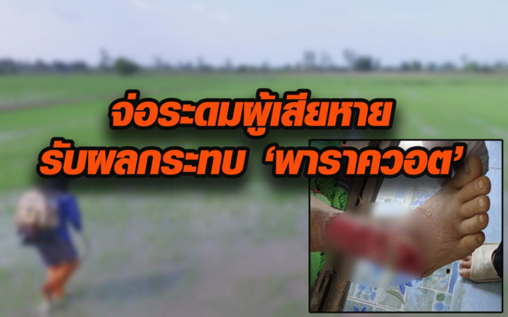 พาราควอต