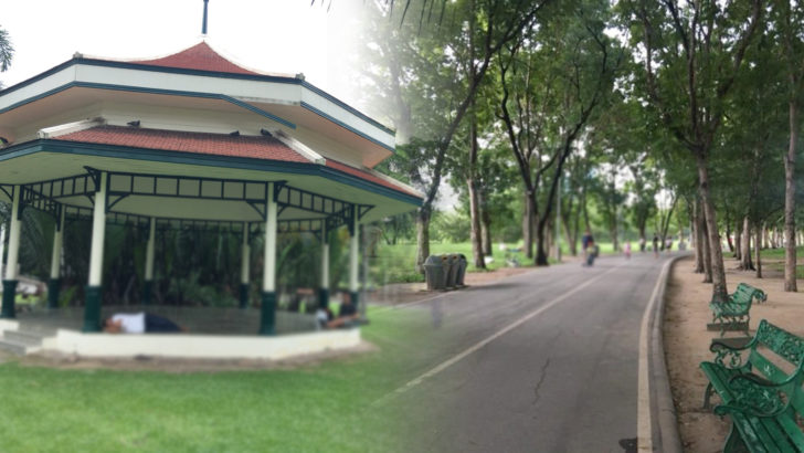 ภป-จัดสวนโปร่งตา