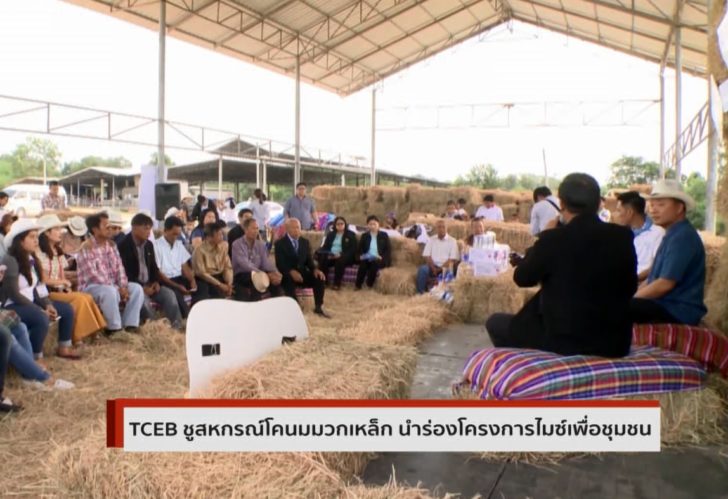 มวกเหล็ก