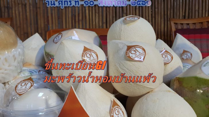 มะพร้าวน้ำห้อม-