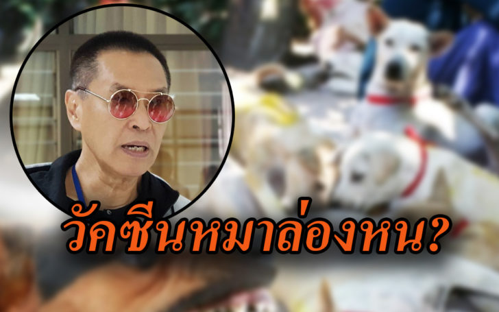 วัคซีนหมา