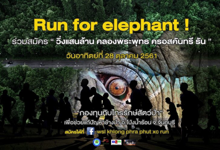 วิ่งช่วยช้าง08