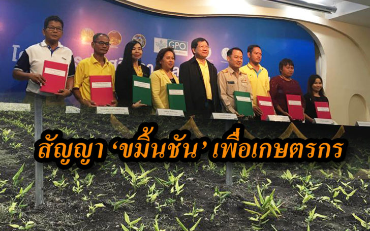 สัญญาขมิ้นชัน