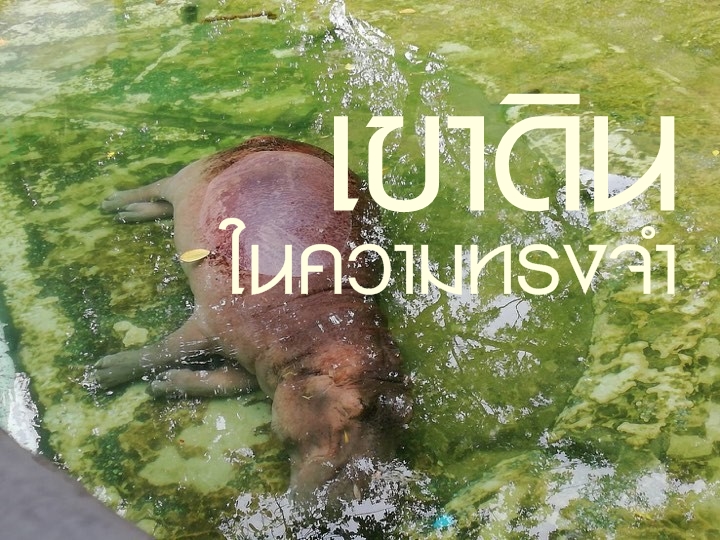 เขาดิน