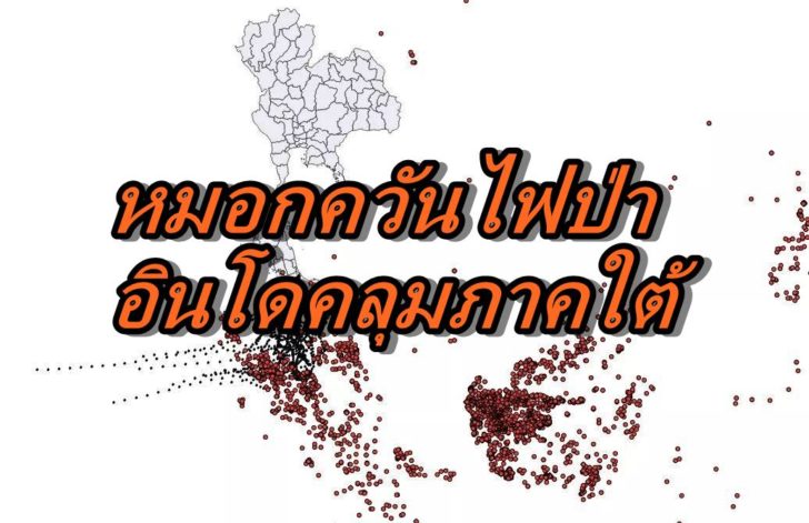 ไฟป่าอินโด-