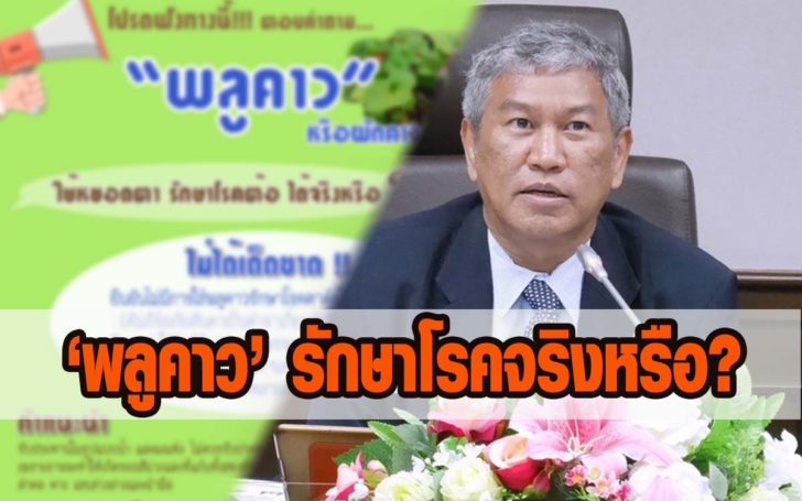 "คัมภีร์อภัยสันตา" ตำราโรคตา ไร้บันทึก "พลูคาว" รักษาต้อ ...