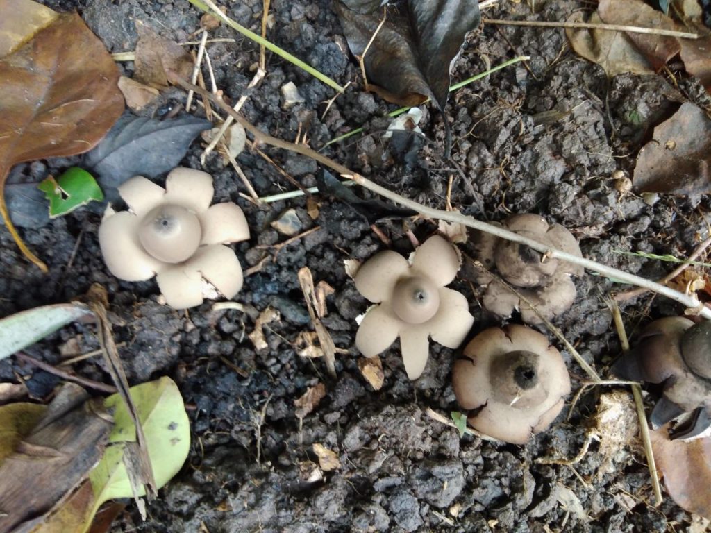 à¸à¸¥à¸à¸²à¸£à¸à¹à¸à¸«à¸²à¸£à¸¹à¸à¸ à¸²à¸à¸ªà¸³à¸«à¸£à¸±à¸ à¹à¸à¸­à¹à¸«à¹à¸à¸à¸²à¸§à¸à¸´à¸ à¸«à¸²à¸¢à¸²à¸