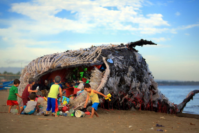 Dead-Whale-of-the-Philippines-591a69e8b18af__880