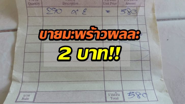 a5_FcuGrzj