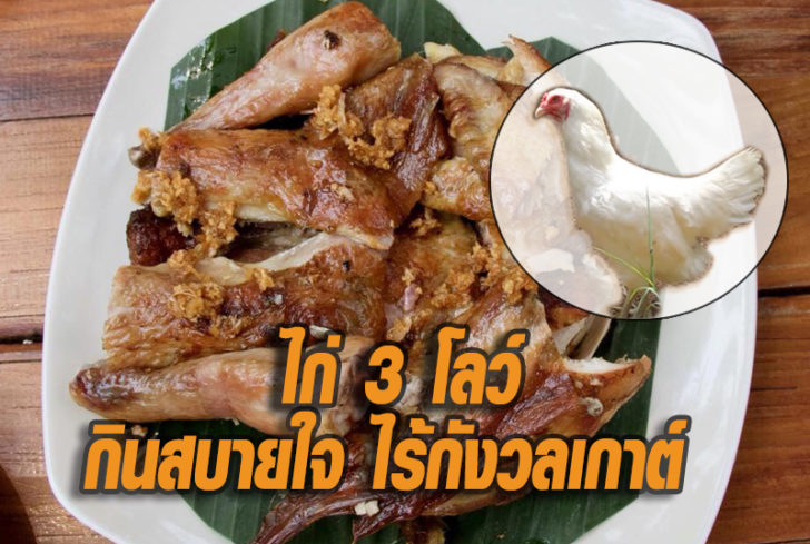 chix3low