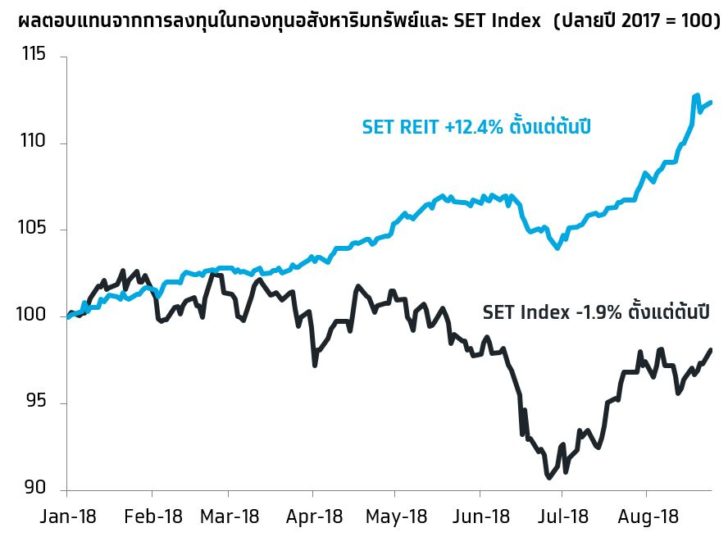 กราฟฟิค คิด เห็น แชร์