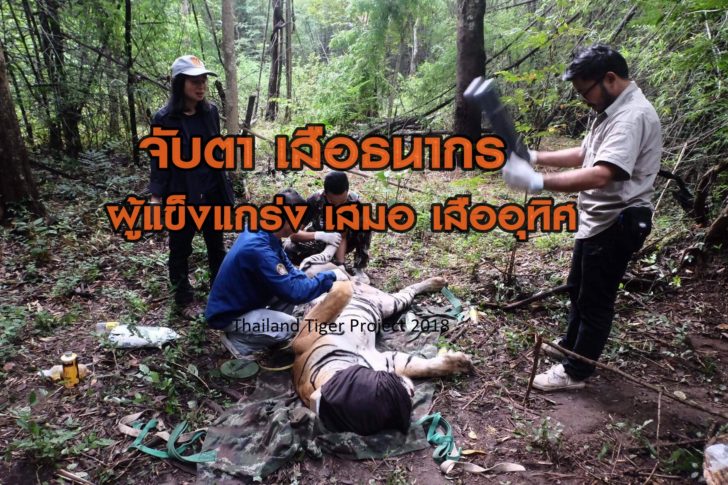 ธนากรร