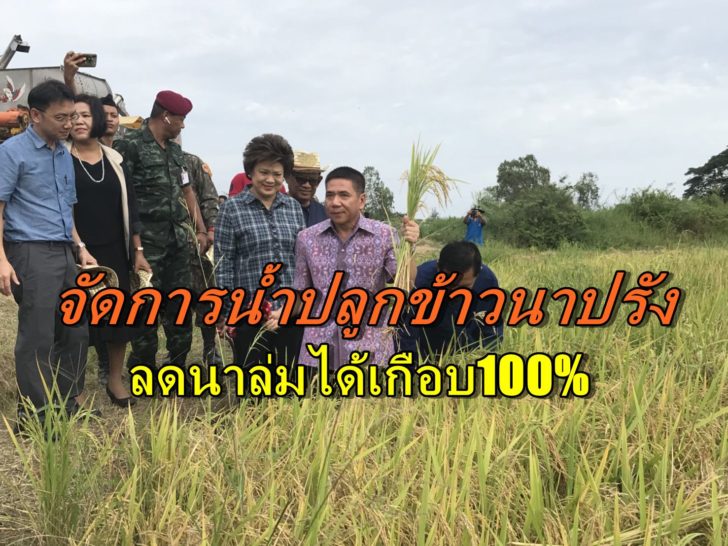 ผู้ว่าฯอยุธยา-
