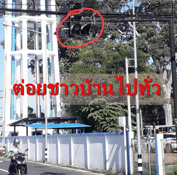 รังต่อ