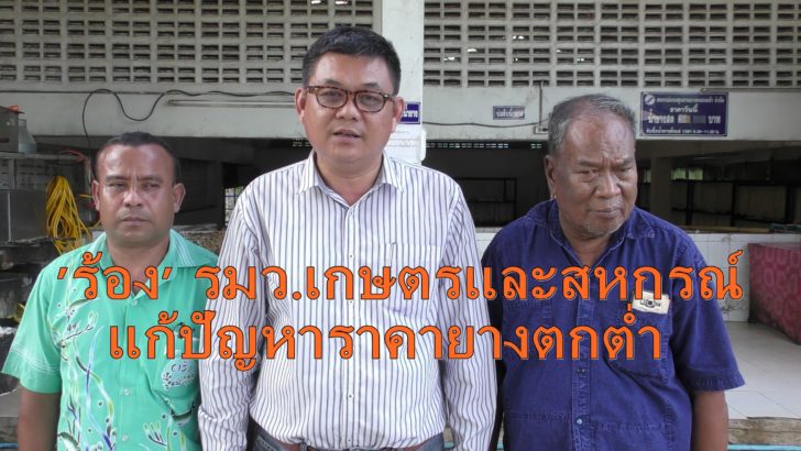 ร้องแก้ปัญหาราคายาง