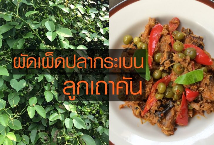 ผัดเผ็ดปลากระเบน