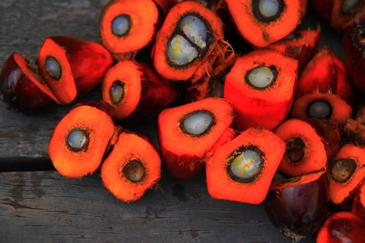 palm-oil-1022012_960_720