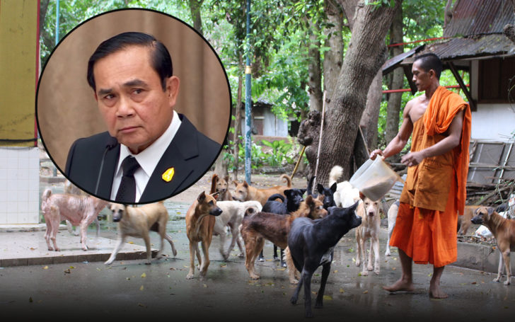 กม.ขึ้นทะเบียนหมาแมว