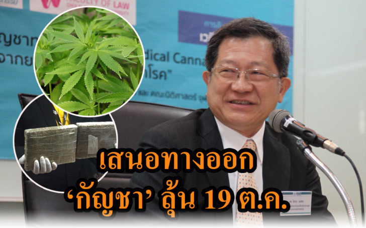 กัญชาไทย
