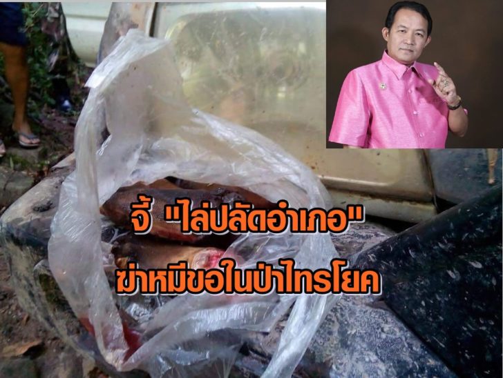 จี้ไล่ปลัด