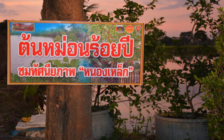 ต้นหม่อนอายุกว่า 100 ปี