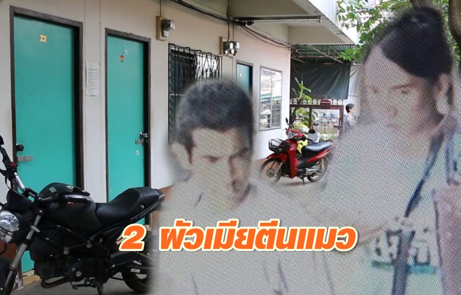 ตีนแมว