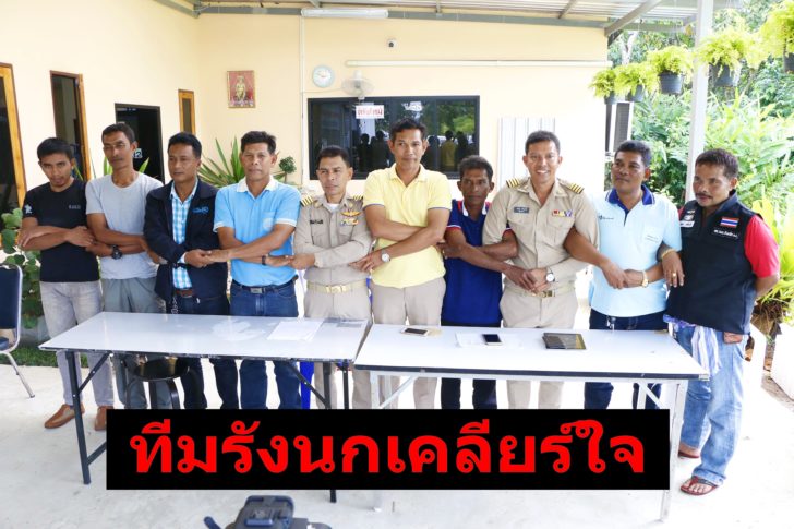 ทีมรังนก