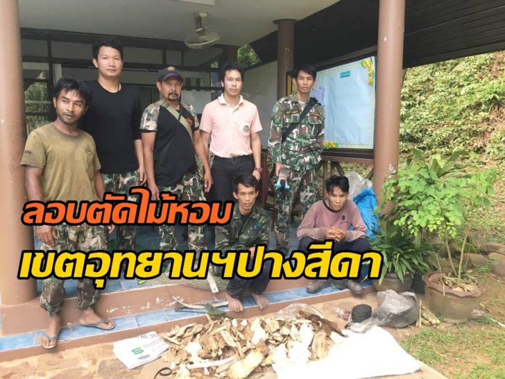 สระแก้ว จับไม้หอมปางสีดา