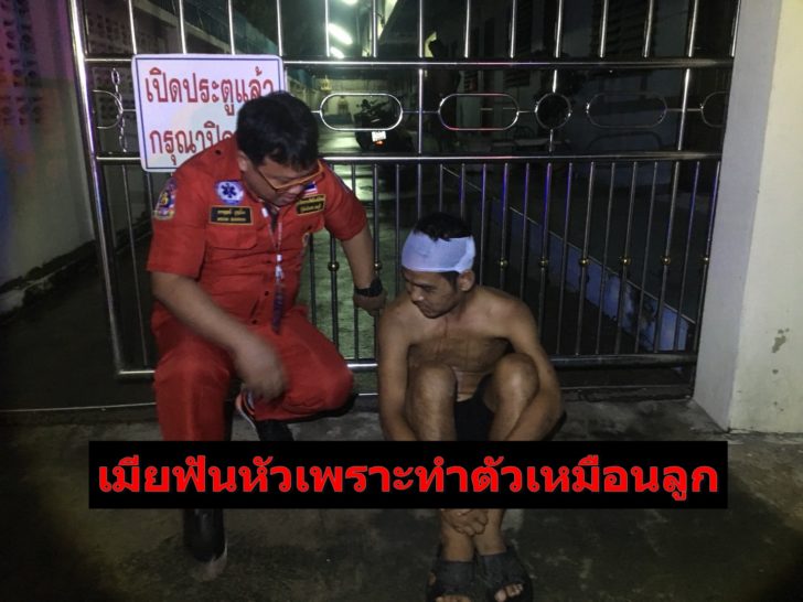 เมียฟันผัว