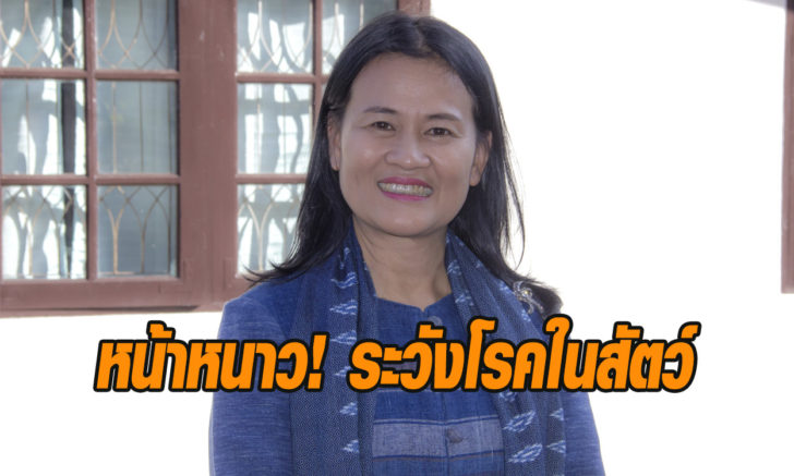 โรคในสัตว์