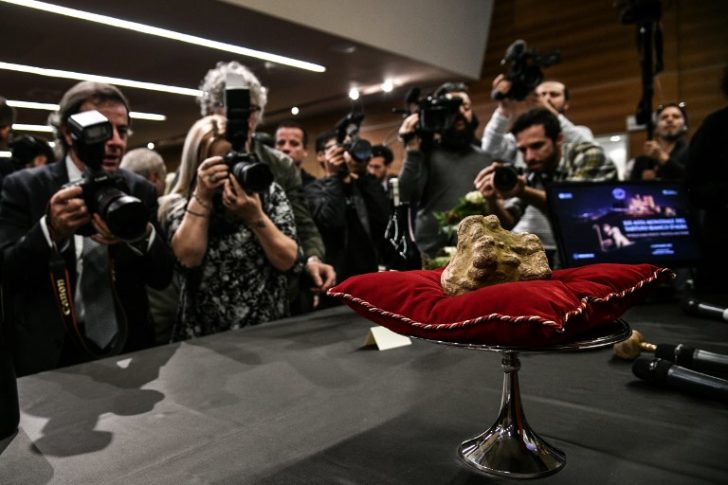 ITALY-AGRICULTURE-ECONOMY-WHITE-TRUFFLE-AUCTION
