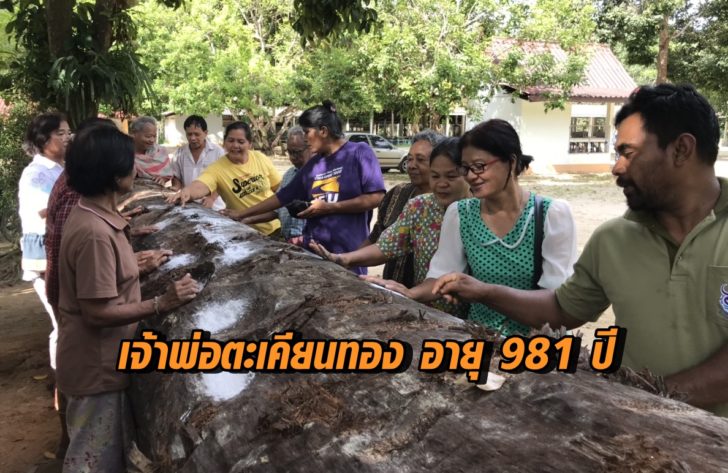เจ้าพ่อตะเคียนทอง