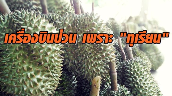 durian2