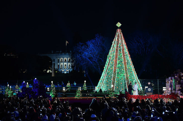 Trump presides over Christmas tree lighting ceremony outside White House