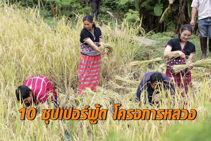 โครงการหลวง