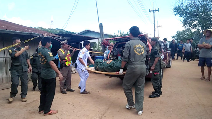 คดีฆ่าหั่นสพ